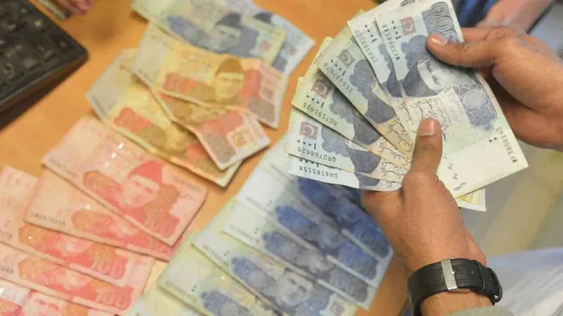 Rupee expected to remain stable after falling to record low