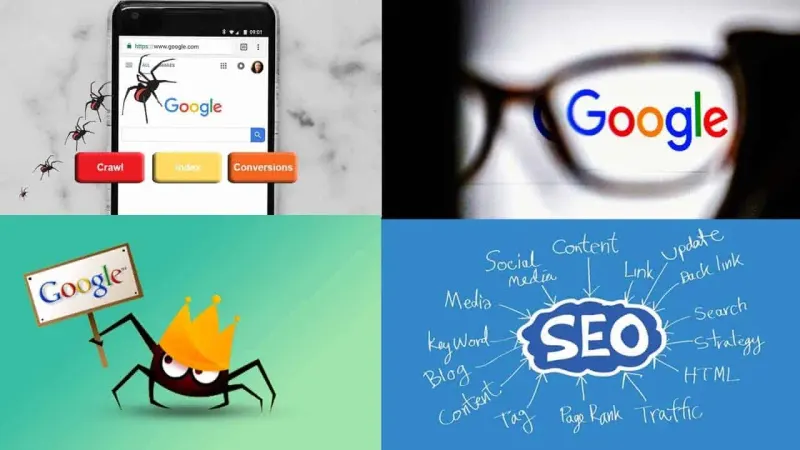 Marvel of the Digital Age: Understanding the Google Search Engine