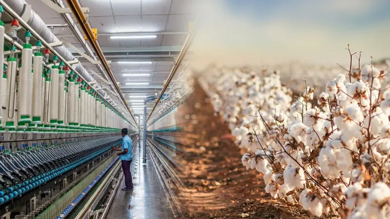 Surge in cotton production good news for Pakistan's textile industry