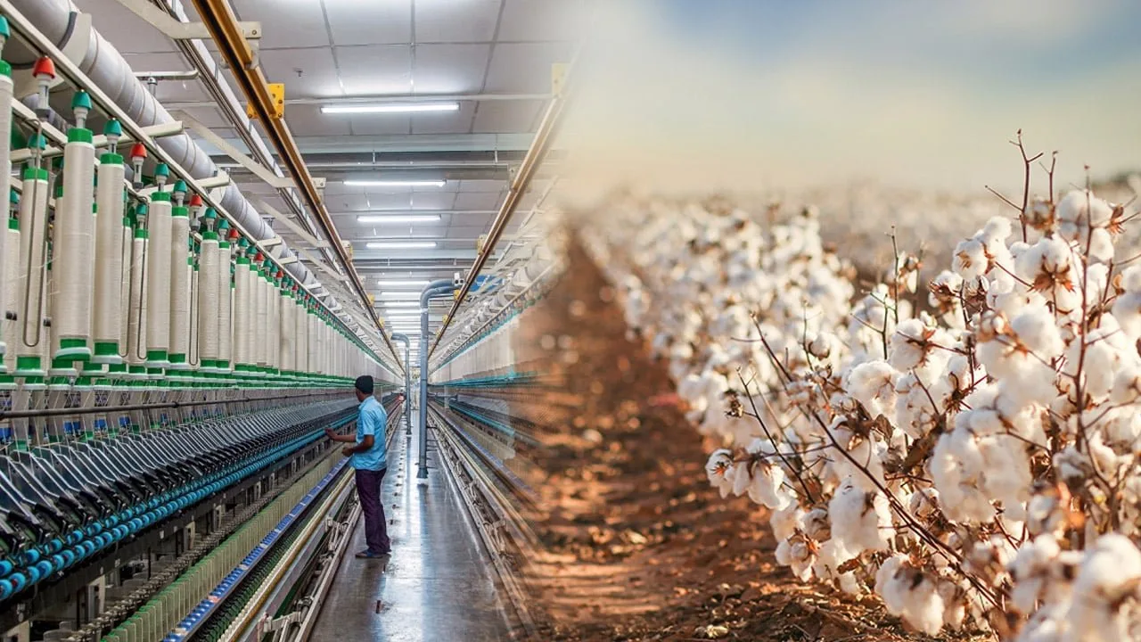 Surge in cotton production good news for Pakistan's textile industry