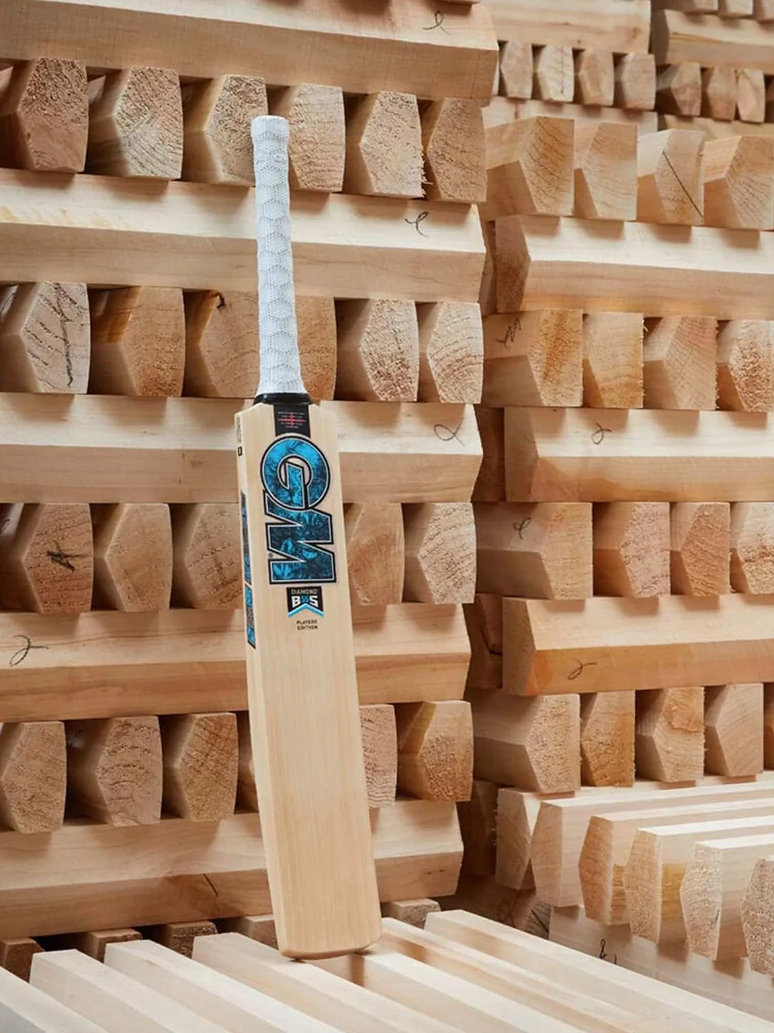 Top 2023 Cricket Bats by Popular Brands