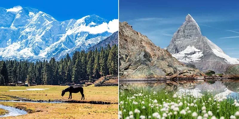 pakistan-switzerland