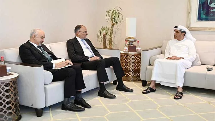 Ahsan Iqbal meets Pak business Council
