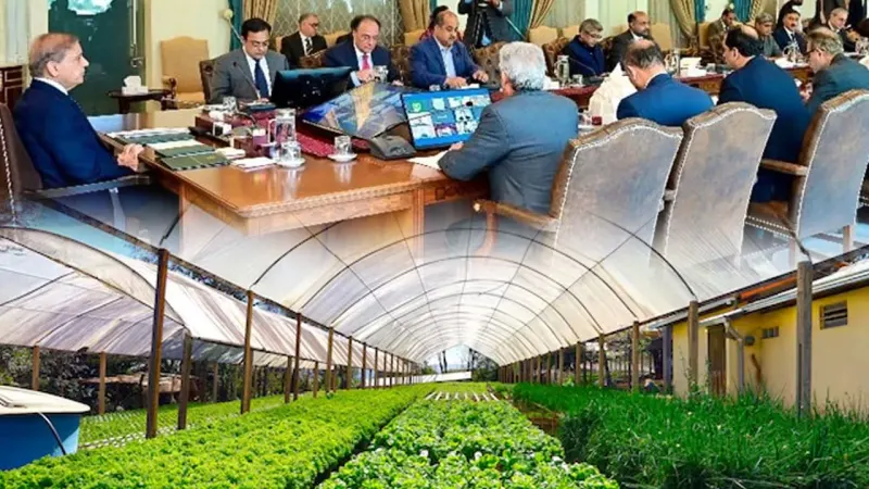Agriculture sector being developed on modern lines: PM