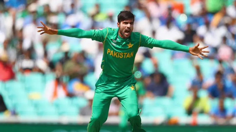 Muhammad Amir New