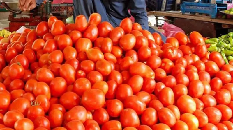 Tomato prices high