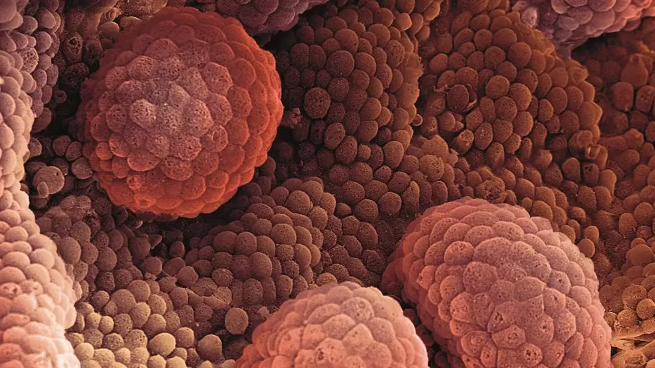 Punjab to Build Modern Cancer Centres in 4 More Cities