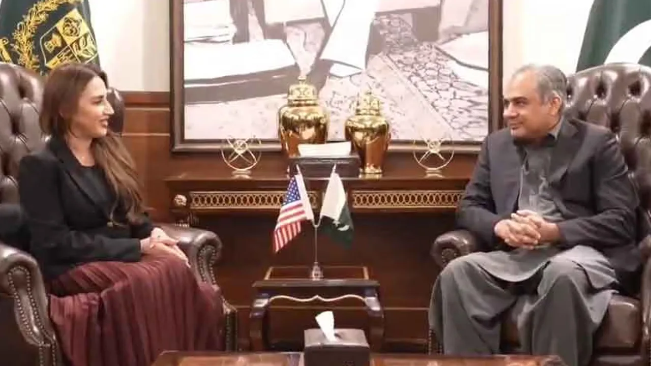 Pakistan, US Discuss Stronger Ties, Investment, Security