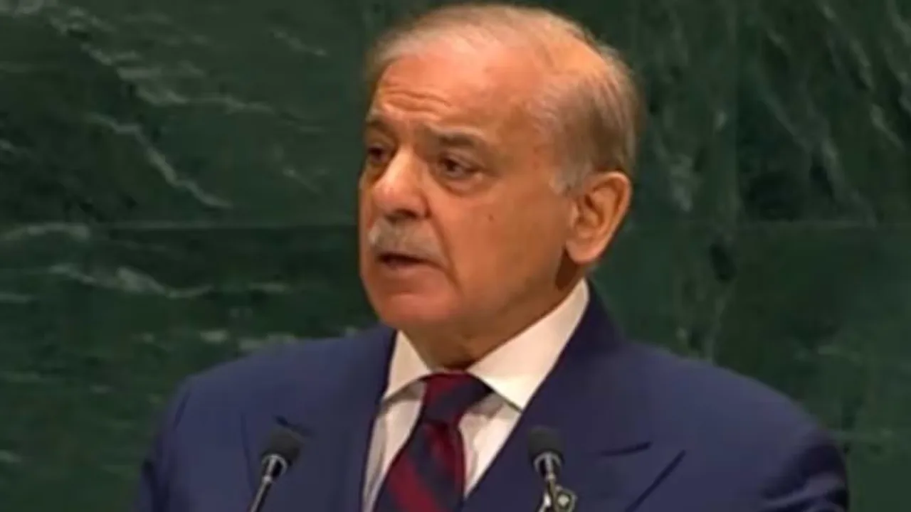 PM Shehbaz Calls for Hormuz, Bab al-Mandab to Remain Open