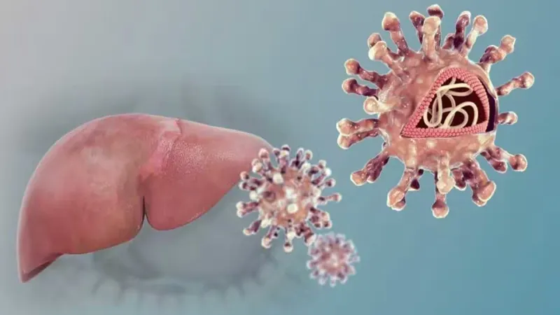 Brelovitug: Experimental Hepatitis D Drug Meets Main Goal in Late-Stage Study