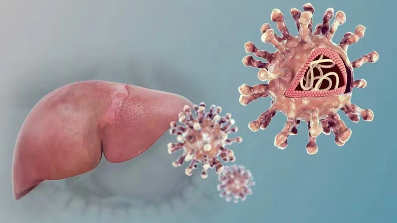 Brelovitug: Experimental Hepatitis D Drug Meets Main Goal in Late-Stage Study