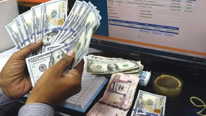 Overseas Pakistanis Send Record $7.3 Billion in Remittances Over Two Months