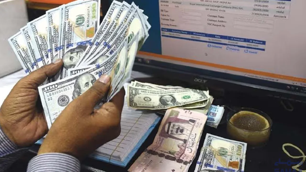 Overseas Pakistanis Send Record $7.3 Billion in Remittances Over Two Months