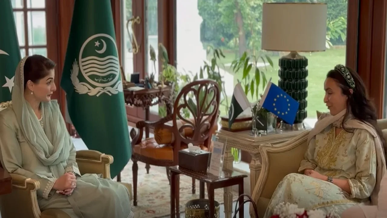 EU Is Second Biggest Trade Partner of Pakistan: Punjab CM