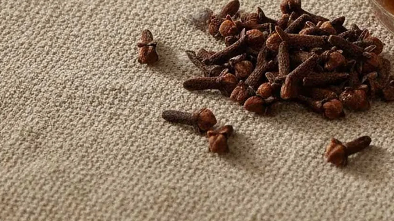 Cloves May Help Strengthen Bones, Research Suggests