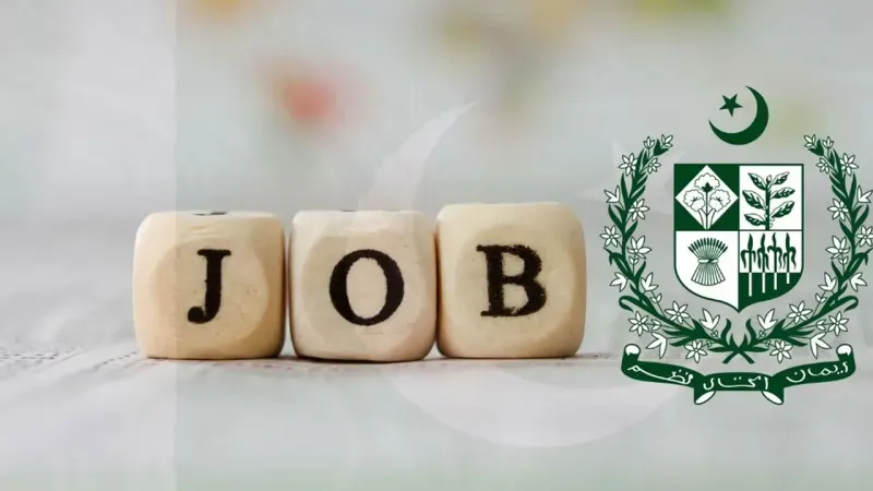 Punjab Announces 140 Government Jobs Across Multiple Departments
