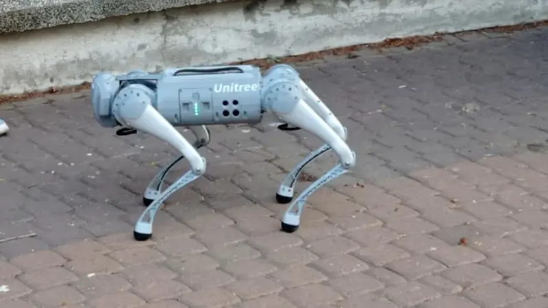 Want to Walk a Robot Dog? San Francisco Company Offers $20 an Hour