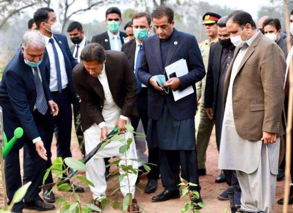 PM Instigated Miyawaki Forests in Jilani Park - Lahore