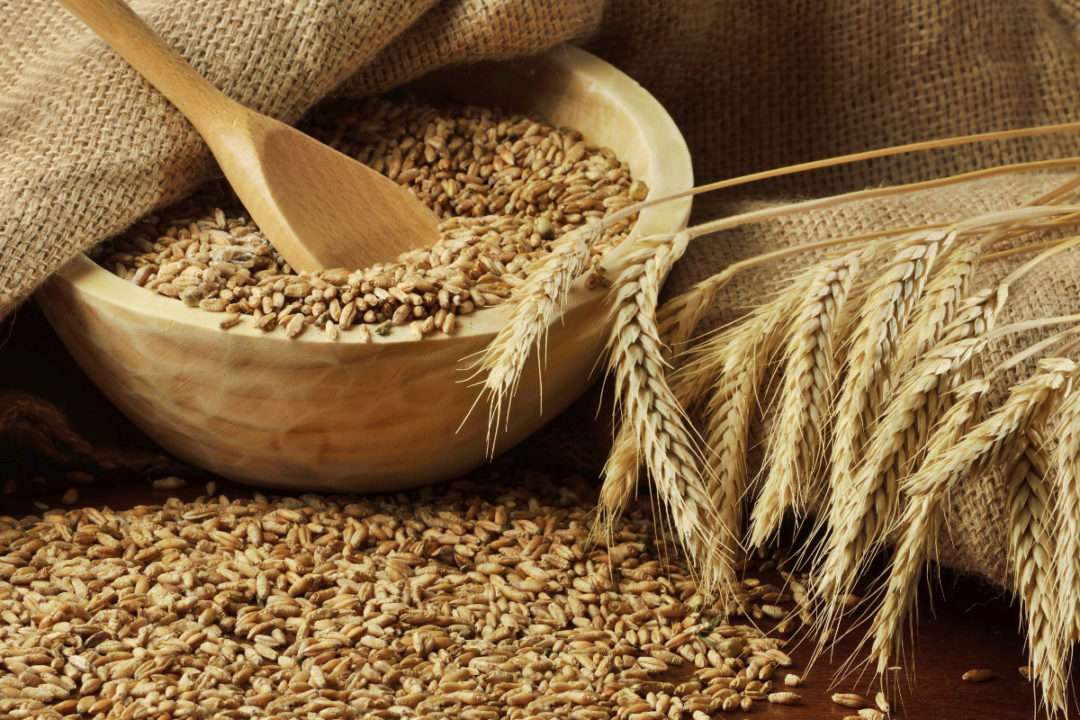 Wheat procurement target lacirated