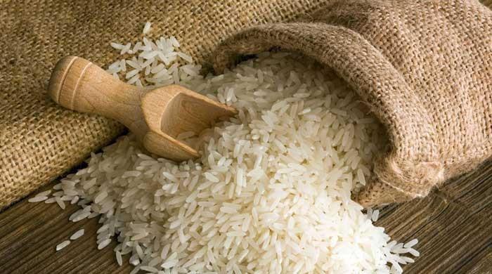 Basmati Rice Exporters of Pakistan