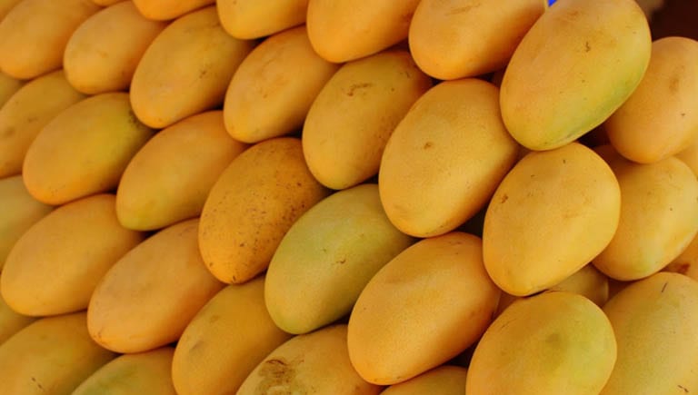 Traders lament low mango exports