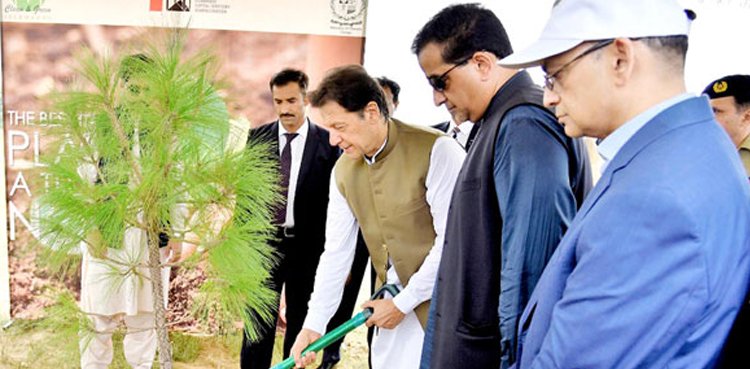 Billion tree campaign