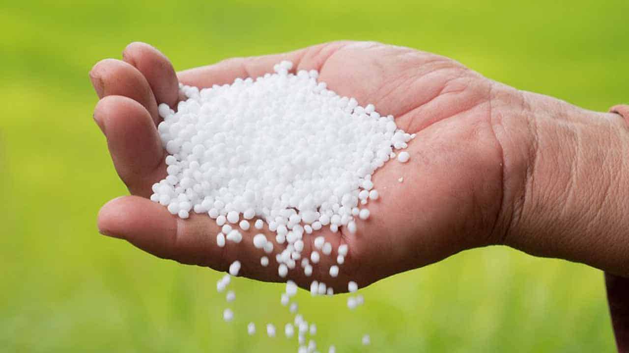 ECC approves import of 1.5 million tons of fertilizer from China: Fawad