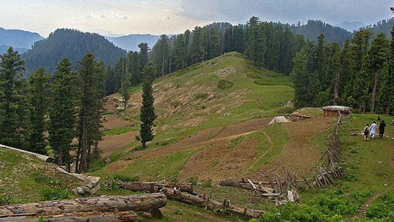 In wildlife conservation initiative, northwestern Pakistan increases number of protected areas