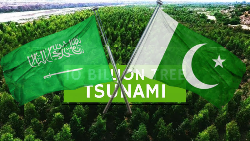 Pakistan-Saudi Arabia to jointly work to tackle climate change