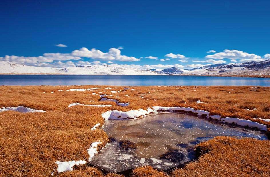 Deosai National Park One of the Top 5 Tourist Destinations of Pakistan