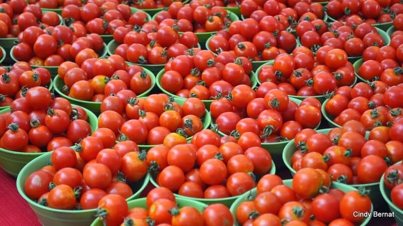 Tomato Prices of the Country decreased 15% in a week