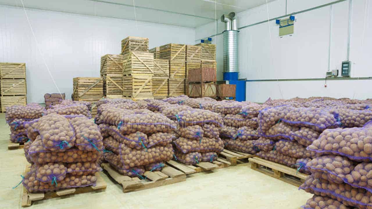 Potato export to China can bring $2bn: farmers