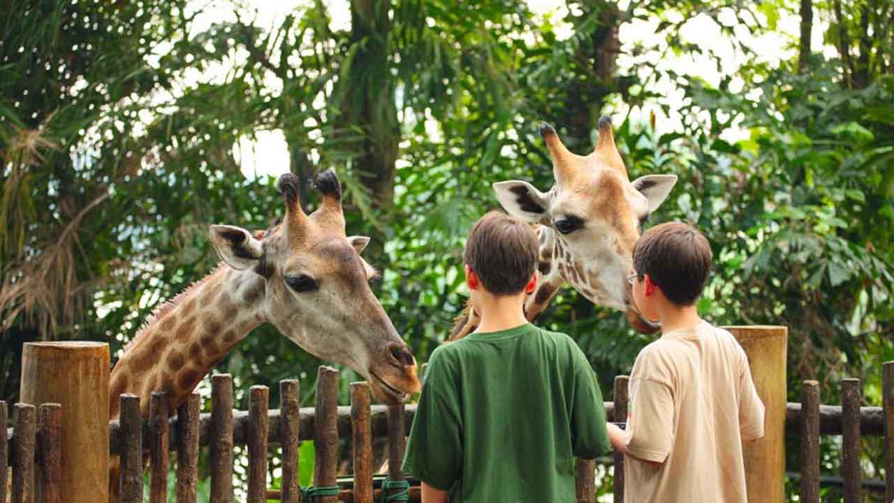 Islamabad to Have a Virtual Zoo Soon