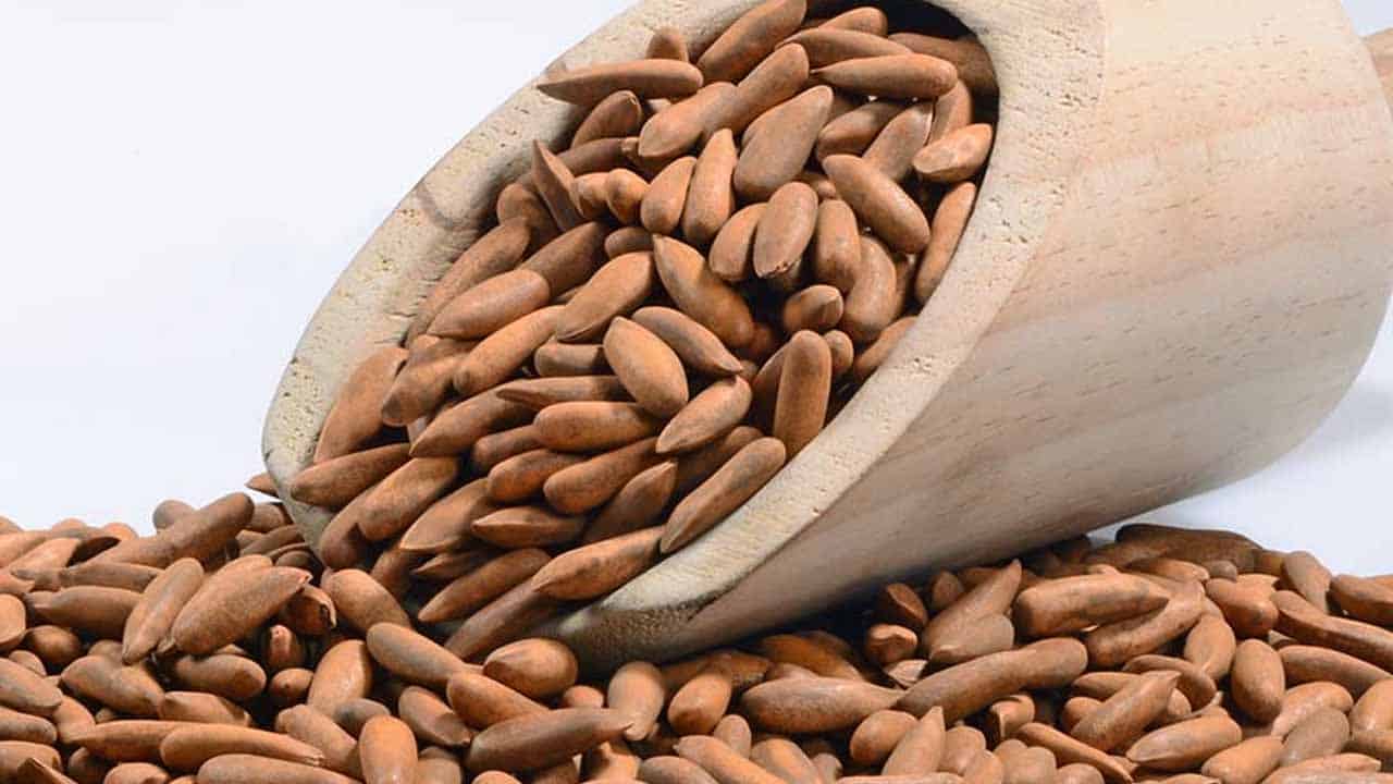 'Only rich can afford it': China imports Pakistani pine nuts worth $17.67 million