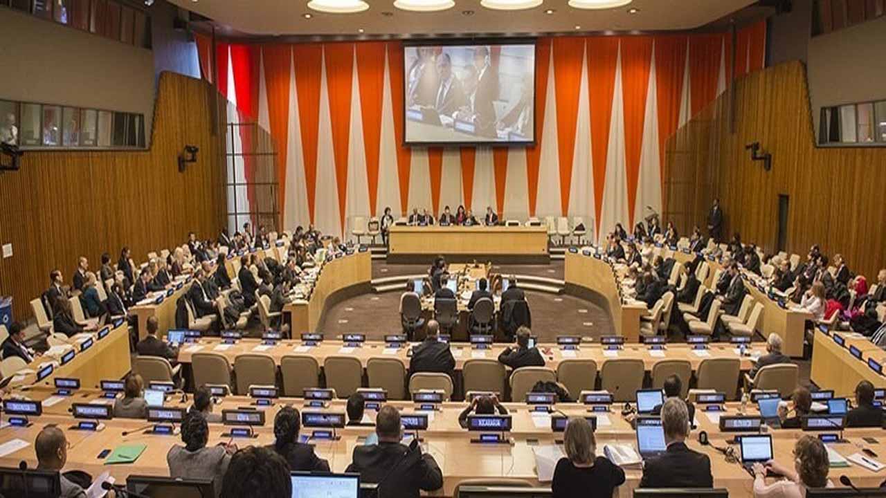 Pakistan re-elected to UN Committee on NGOs