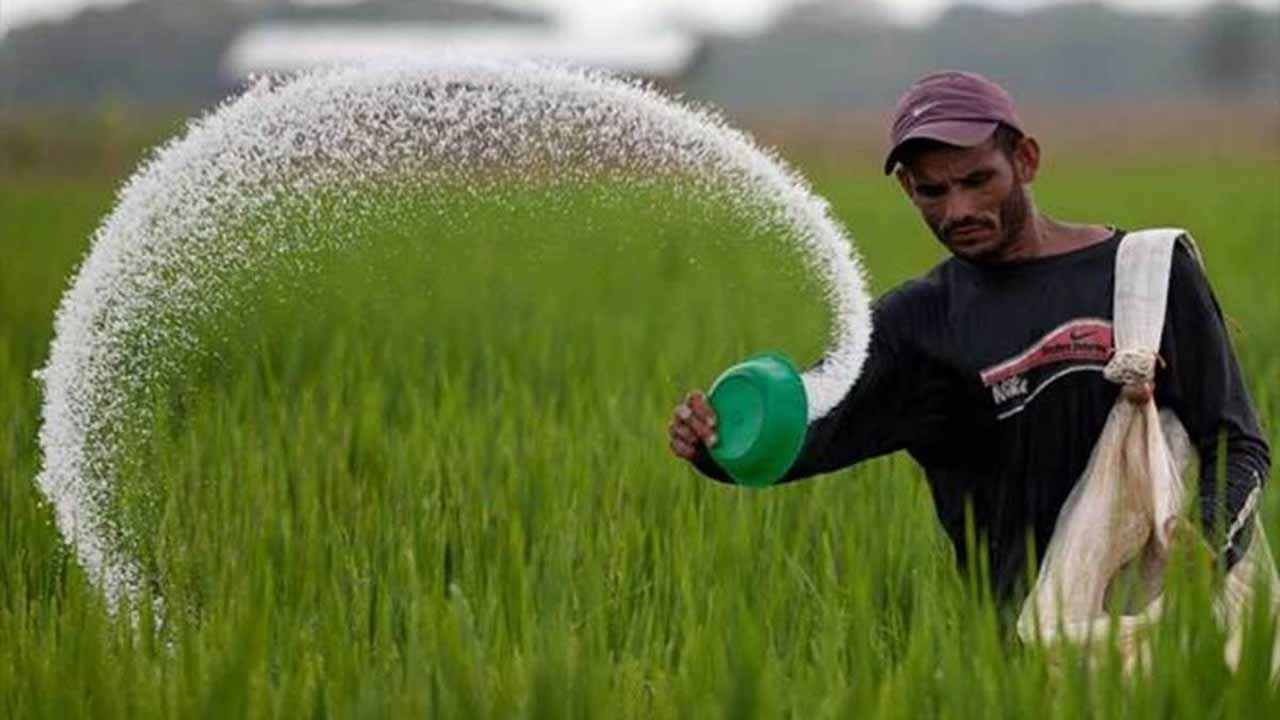 Govt Decides To Make Subsidy Payments On Urea