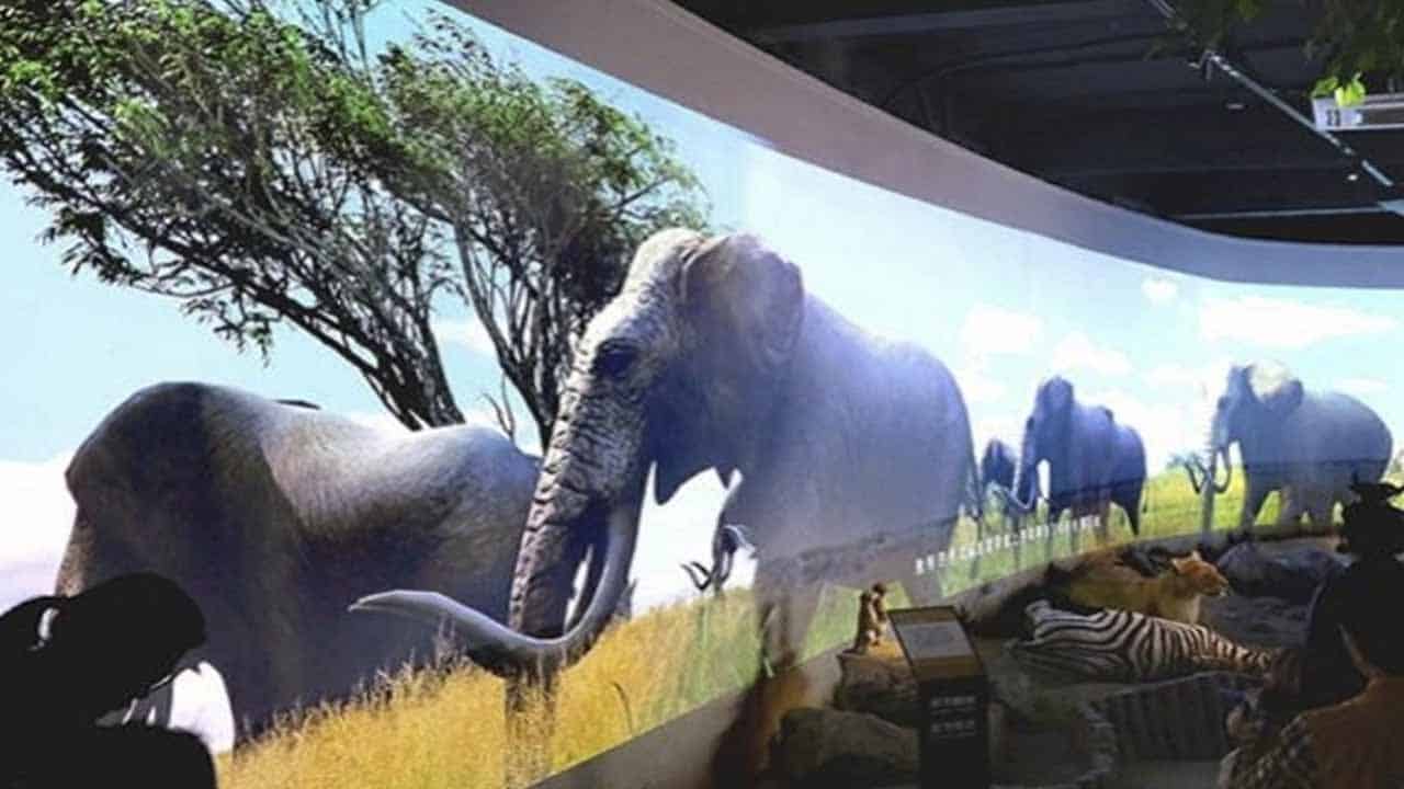 Funds Allocated for establishing Pakistan’s First Virtual Zoo