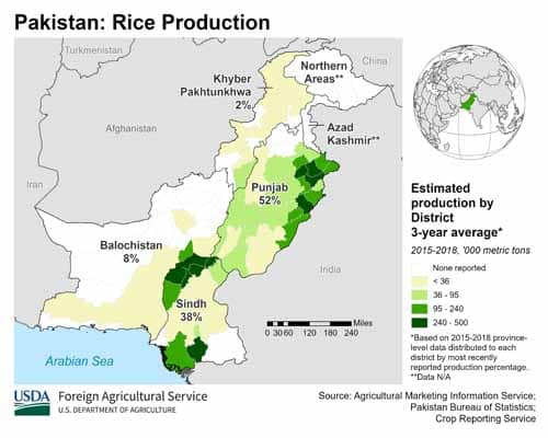 Rice production Data