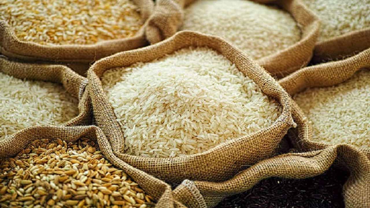 Pakistan's export of rice to China crossed $ 277.56 million