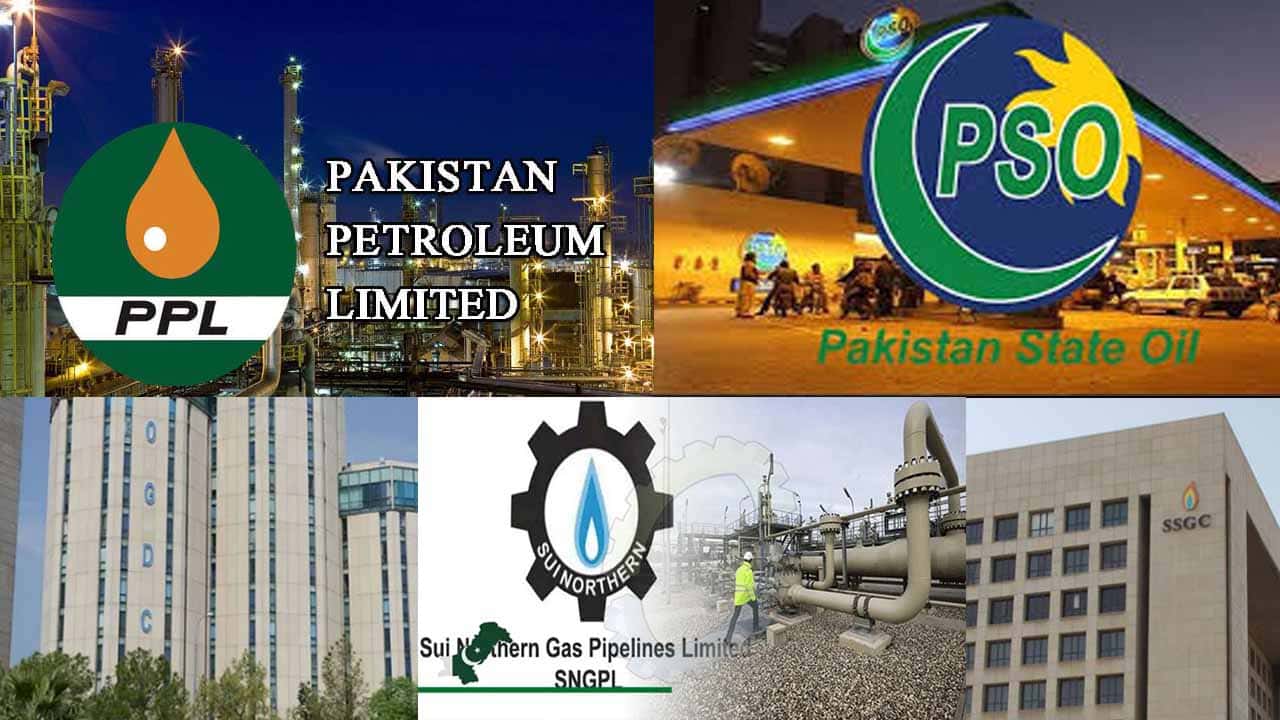 The Government Of Pakistan Puts 100% Stakes Of PIA, PSO, OGDC, SSGC, SNGPL, and PPL on Sale
