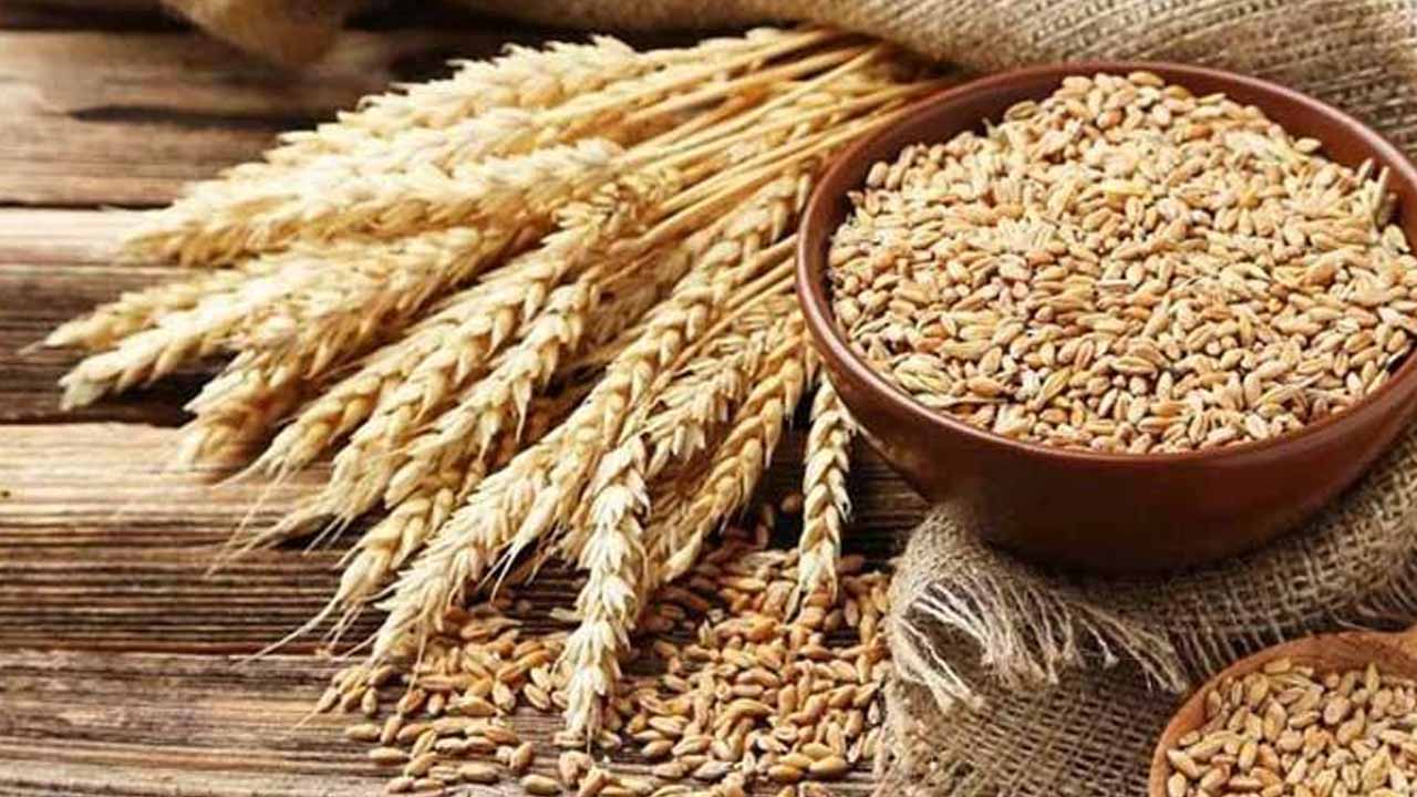 Govt considering importing cheaper wheat from Russia