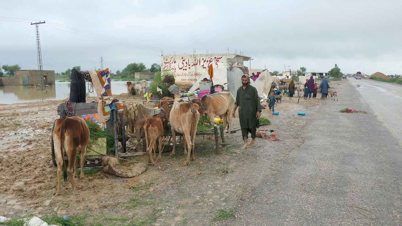 ‘Nothing is left’: In flood-ravaged Balochistan, residents desperately await government help