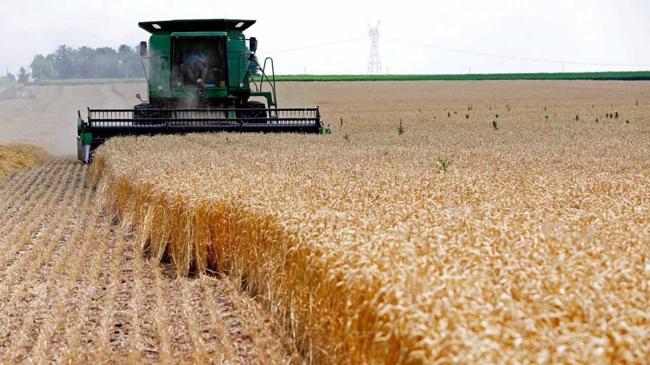 Pakistan Imported Wheat Worth $0.9 Billion Last Year