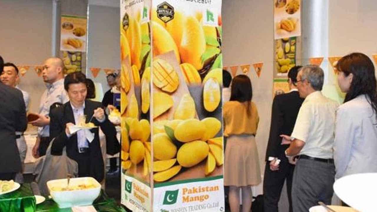 Pakistan Mango Festival 2022 held in Shanghai, China