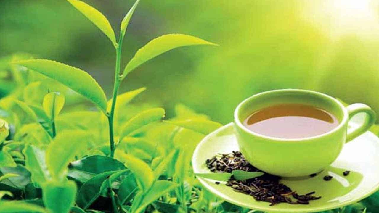 Pakistan has huge potential to become self-sufficient in tea sector