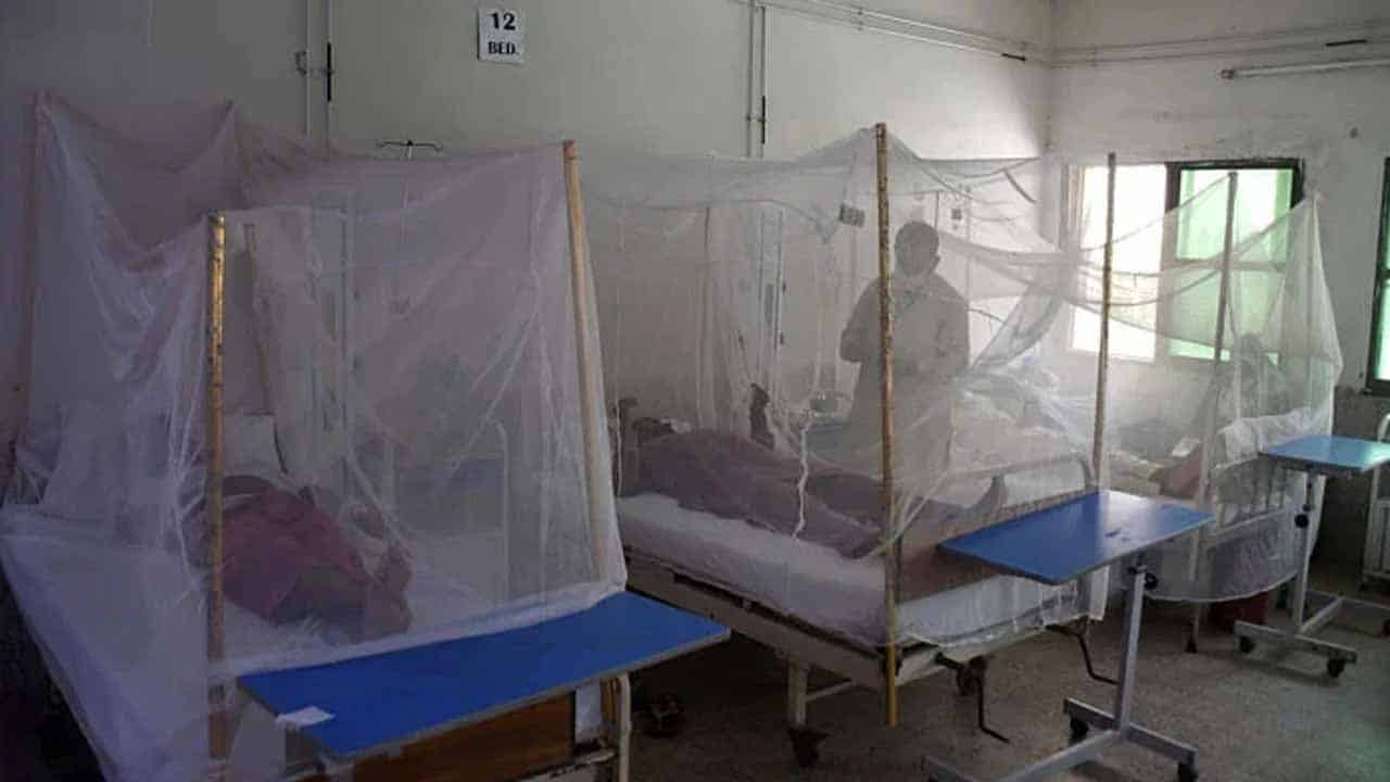 Govt gives nod to buy 6.2m mosquito nets from India