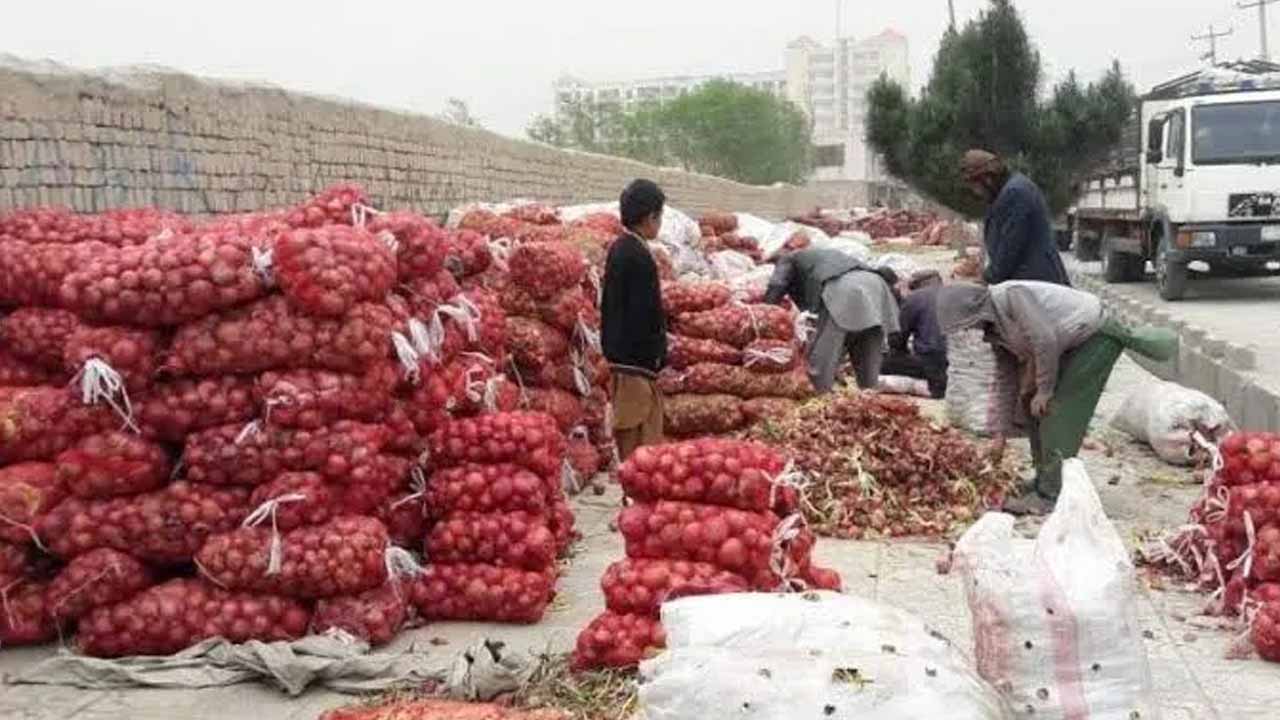 Pakistan’s Agri Exports to Afghanistan Increase 67% in Q1FY23