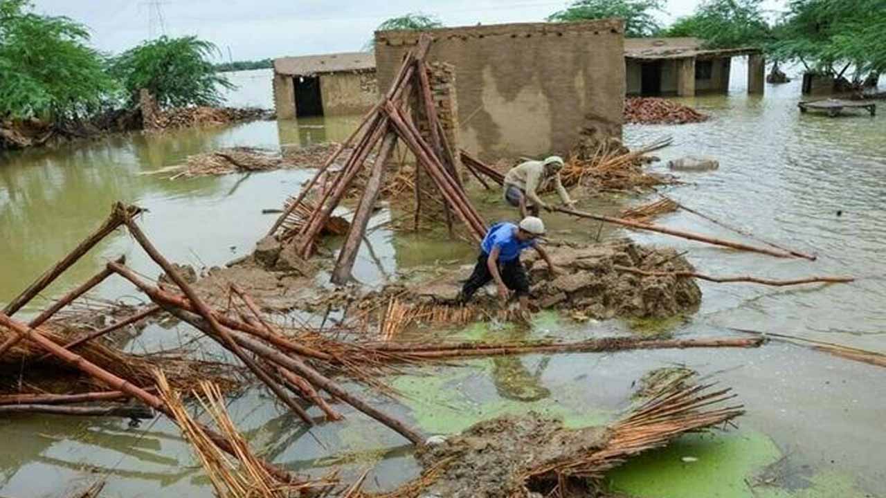 Sindh Govt, World Bank to launch Rs110bn housing project for flood victims