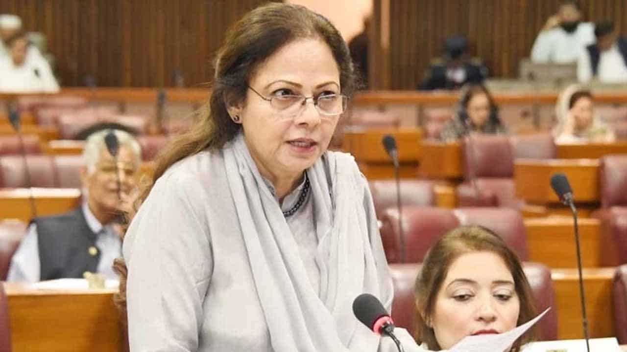 No Risk of Default, Remittances Pouring into Pakistan, Minister of State for Finance Aisha Ghaus Pasha told NA