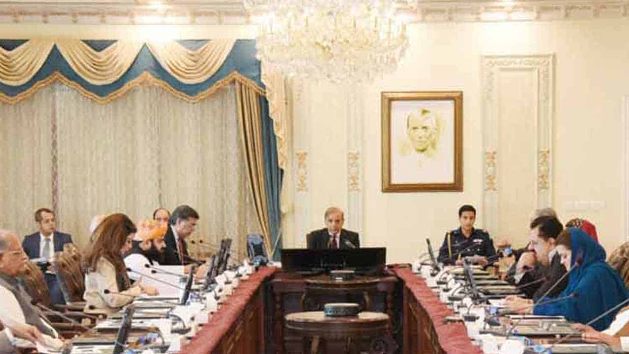 PM Shehbaz Sharif appoints more SAPMs, cabinet grows to 83